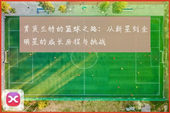 贾莫兰特的篮球之路：从新星到全明星的成长历程与挑战