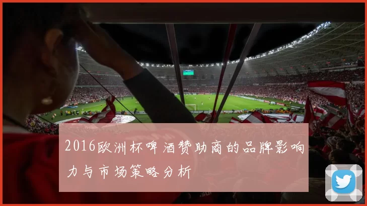 2016欧洲杯啤酒赞助商的品牌影响力与市场策略分析